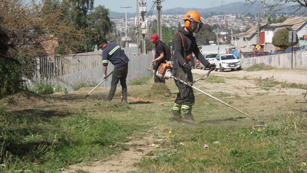 87d5db98-1b55-4736-9799-99c3ce77296b