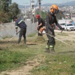 Villa Alemana activa plan preventivo forestal para emergencias de cara al próximo verano