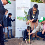 Proyecto “Quillota Respira” cerró el año con 67 milárboles plantados para enfrentar el cambio climático