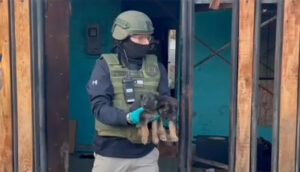 PERRITOS